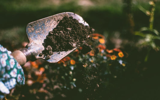 Biokol - Ge din odling ett försprång.