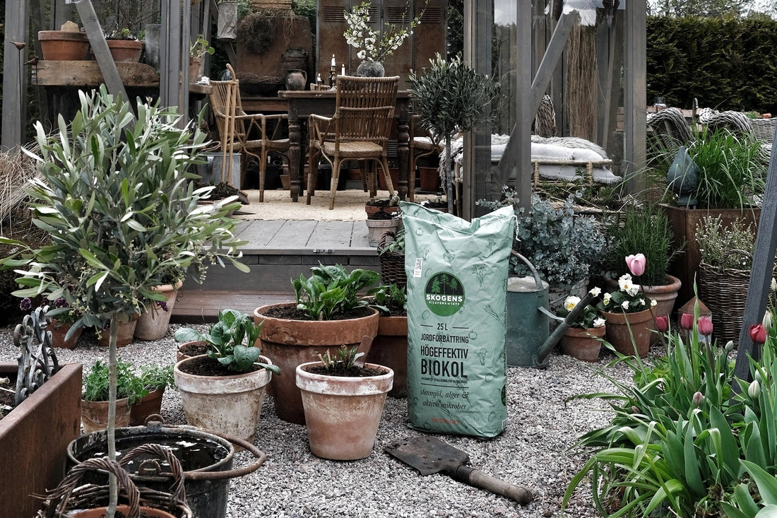 Biokol – Hur och varför?