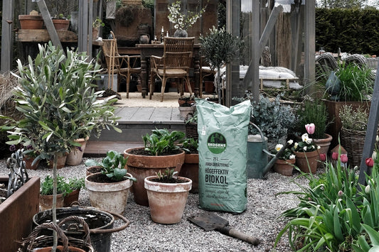 Biokol – Hur och varför?